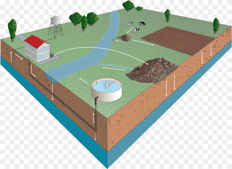 Circulation Of Drugs In Nature Grass, Neighborhood, Field, Cad Diagram, Diagram Free Png