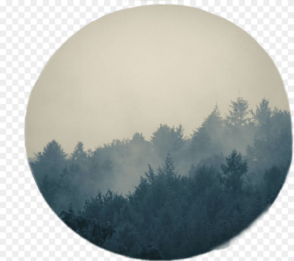 Circulo Circle Paisajes Paisaje Pinos Bosque Daejeon, Nature, Outdoors, Weather, Fog Free Png