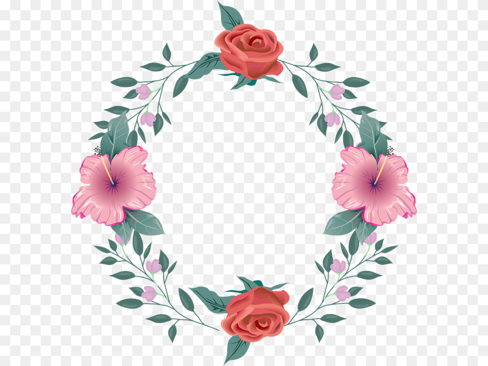 Circulo De Rosas, Flower, Pattern, Plant, Rose Free Png Download
