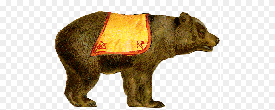 Circus Bear Vintage Circus, Animal, Mammal, Wildlife, Brown Bear Free Png Download