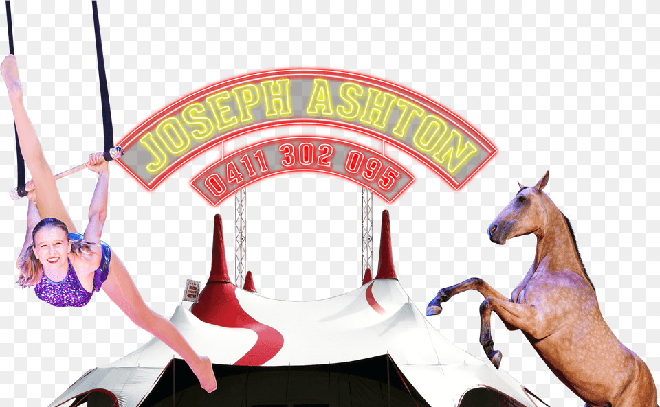 Circus Circus Joseph Ashton 2015, Leisure Activities, Adult, Person, Woman Free Transparent Png