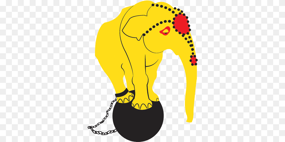 Circus Elephant, Baby, Person, Animal, Wildlife Free Png