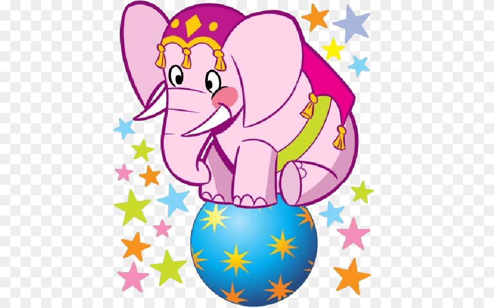 Circus Elephant, Baby, Person, Face, Head Png Image