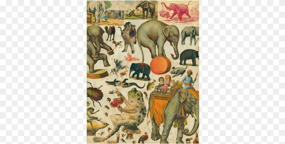 Circus Elephant Art Print Barnum39s White Elephant On Scale, Painting, Mammal, Animal, Wildlife Free Transparent Png