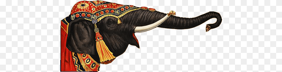 Circus Elephant Cut Out Indian Elephant, Animal, Mammal, Wildlife Png