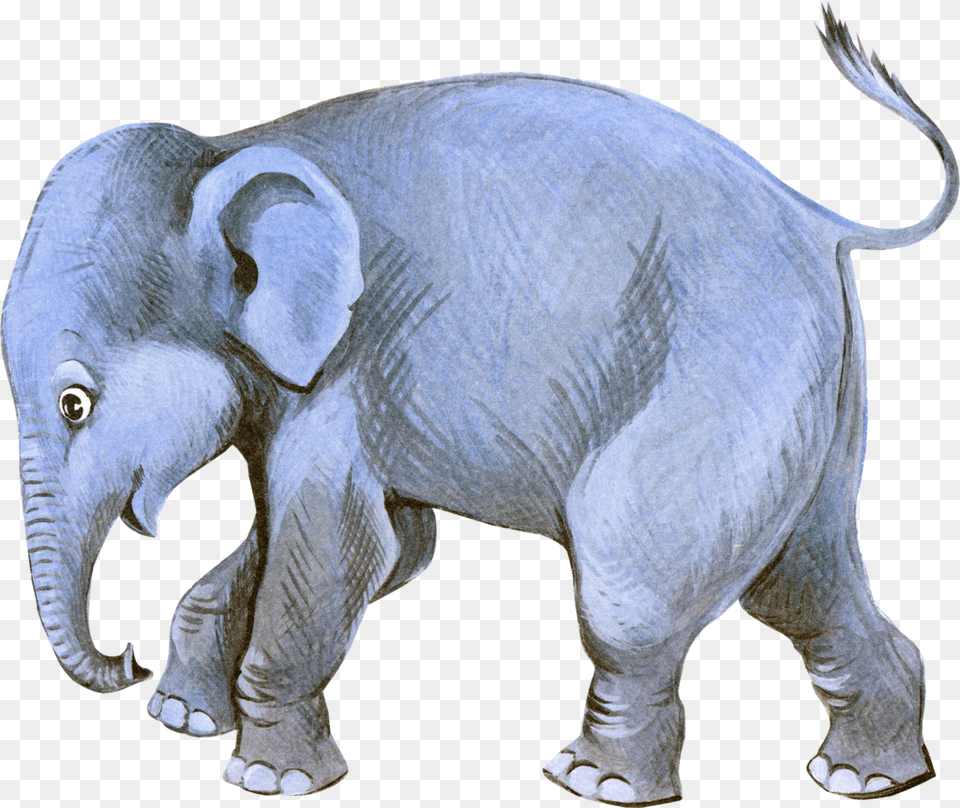 Circus Elephant Download Slon, Animal, Mammal, Wildlife, Dinosaur Png Image