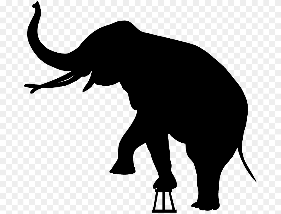 Circus Elephant Silhouette, Animal, Mammal, Wildlife Free Transparent Png
