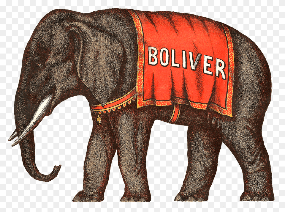 Circus Elephant Victorian, Animal, Mammal, Wildlife Free Png