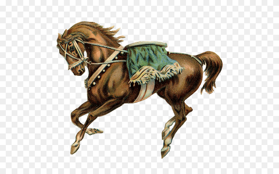 Circus Horse Green Saddle, Animal, Mammal Png Image