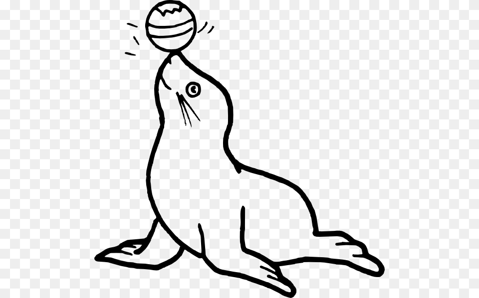 Circus Seal Clip Art, Animal, Mammal, Sea Life, Sea Lion Free Png Download