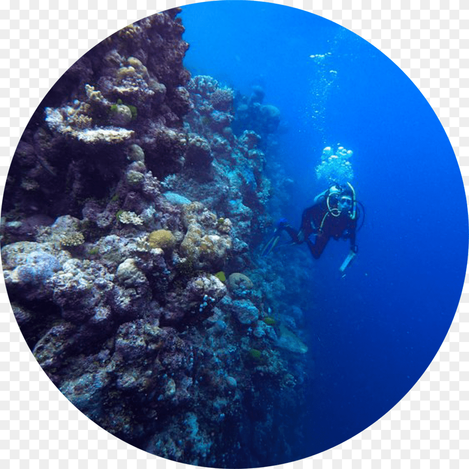 Cirlce 01 Underwater, Adventure, Sport, Scuba Diving, Water Free Png
