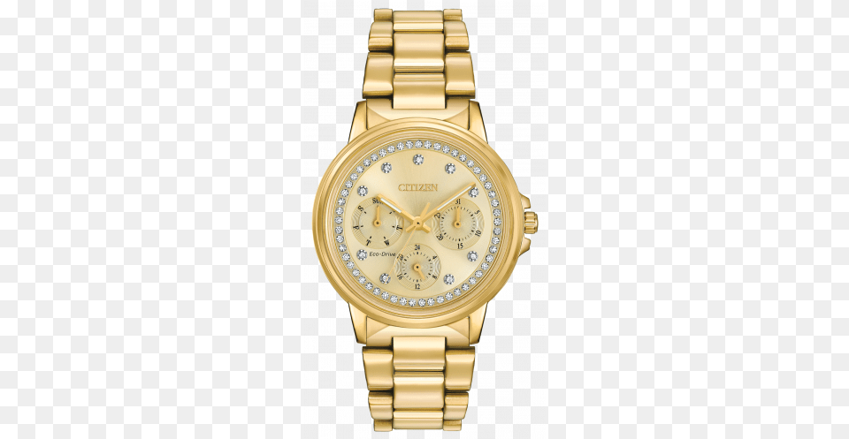 Citizen Chandler Ladies39 Swarovski Crystal Embellished Women39s Gold Citizen Watches, Arm, Body Part, Person, Wristwatch Png