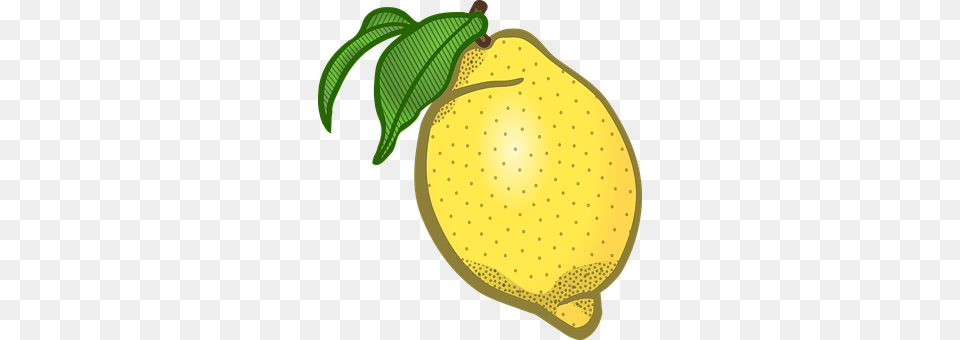 Citron Citrus Fruit, Food, Fruit, Lemon Png