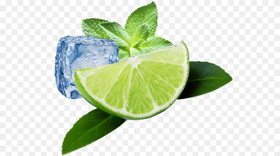 Citron Vert Et Menthe, Citrus Fruit, Food, Fruit, Lime Png Image