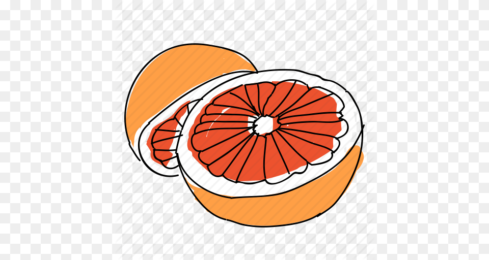 Citrus Clipart Orange Juice Clip Art Orangejuicefruit, Citrus Fruit, Food, Fruit, Grapefruit Png