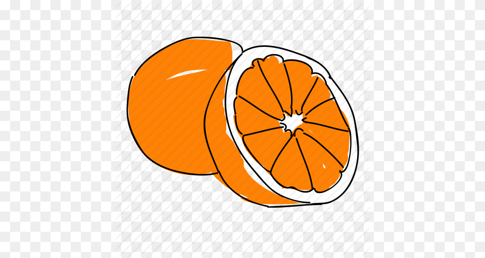 Citrus Food Fruit Hand Drawn Orange Oranges Produce Icon, Citrus Fruit, Grapefruit, Plant Free Transparent Png