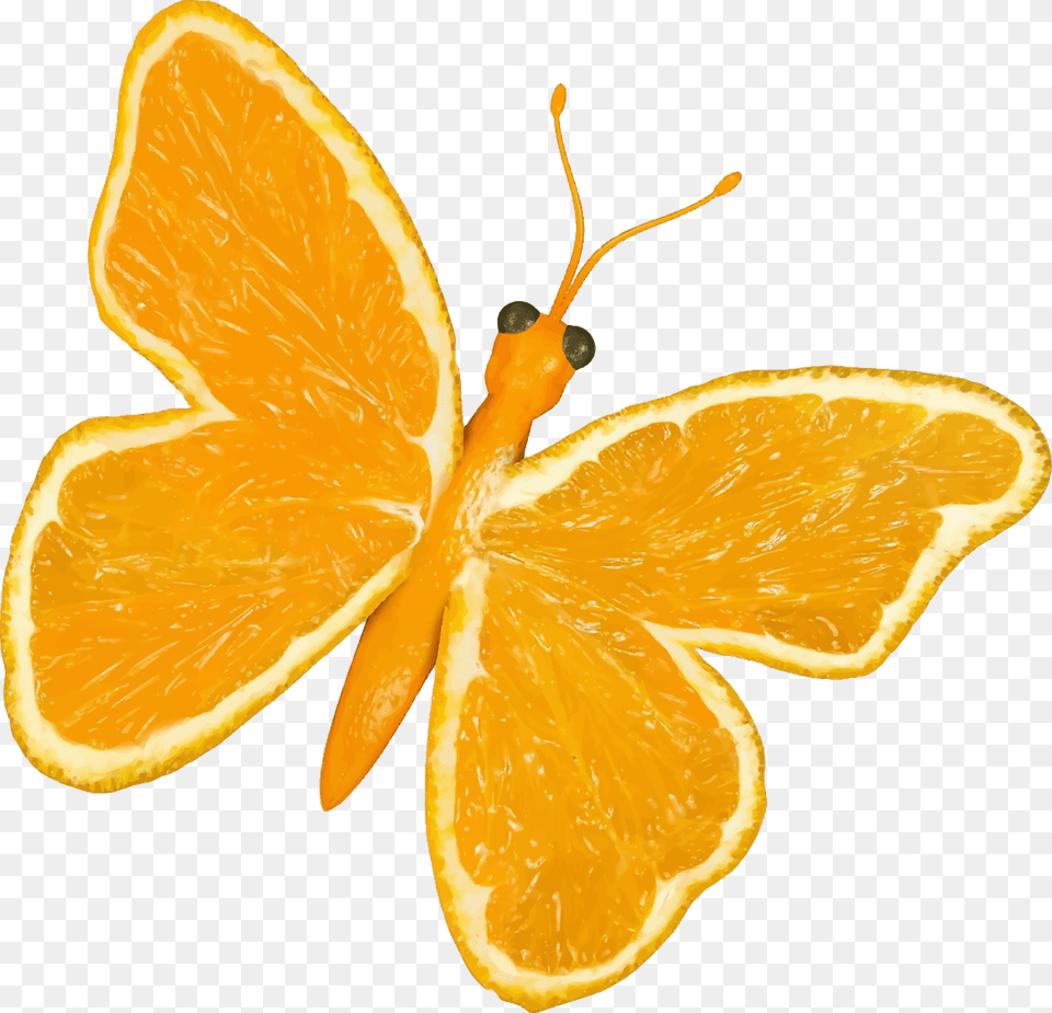 Citrus Fruit Butterfly Clip Arts Yellow Butterfly Cartoon, Citrus Fruit, Food, Orange, Plant Free Png Download
