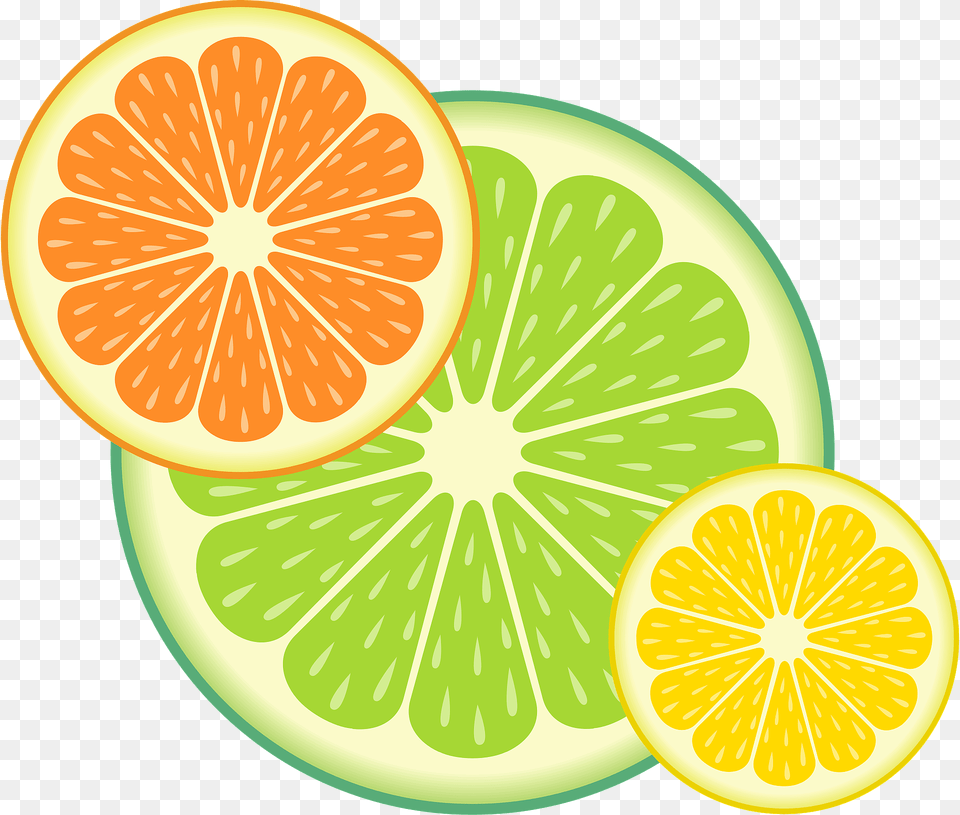 Citrus Fruit Slices Clipart, Citrus Fruit, Food, Grapefruit, Plant Free Png