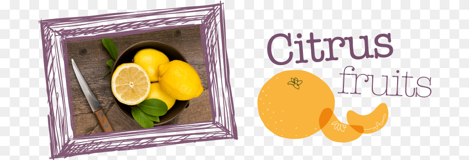 Citrus Fruit Sweet Lemon, Blade, Produce, Plant, Knife Free Png Download