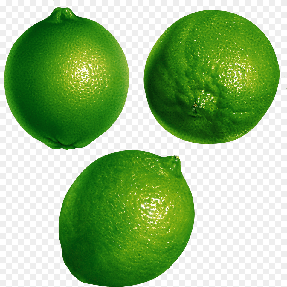 Citrus Fruit Transparent Background Lime Transparent Png