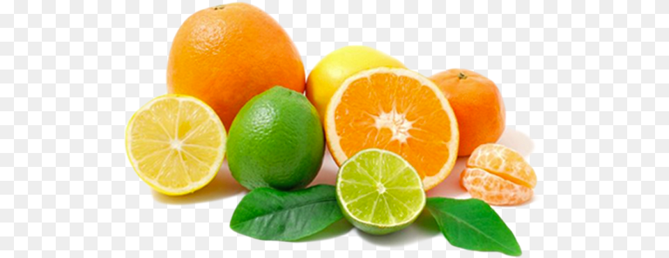 Citrus Fruits Oranges Lemons And Limes, Citrus Fruit, Food, Fruit, Lime Free Transparent Png