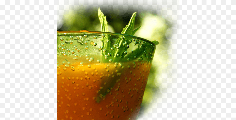 Citrus Juices Fresh Juice, Alcohol, Beverage, Cocktail, Mojito Png Image