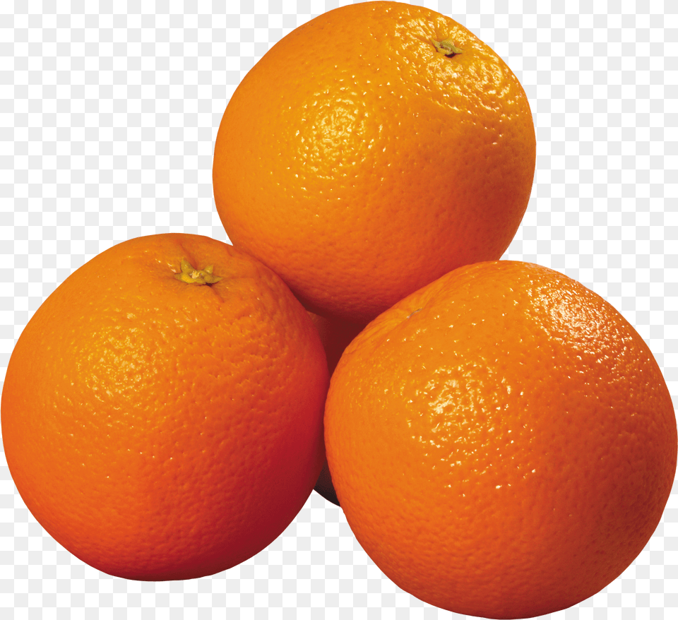 Citrus Mandarin Orange Fruit Rangpur Oranges Png