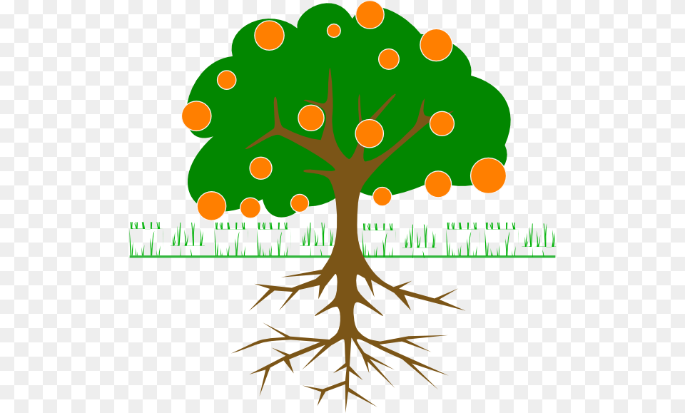 Citrus Tree Clip Art, Plant, Root, Leaf Free Png Download