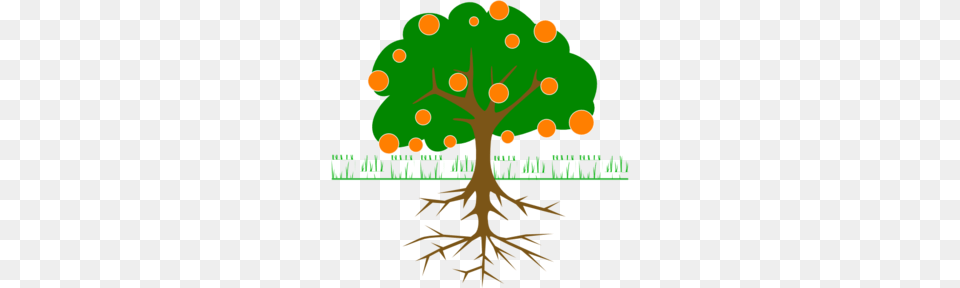 Citrus Tree Clip Art, Plant, Root, Vegetation Png