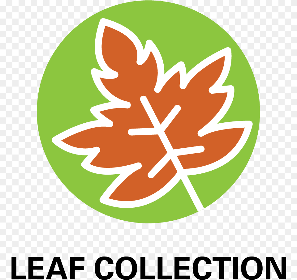City Home Pagemayorcity Councilboard Of Public Works And Leadership Circle Certified, Leaf, Plant, Logo, Outdoors Free Png Download