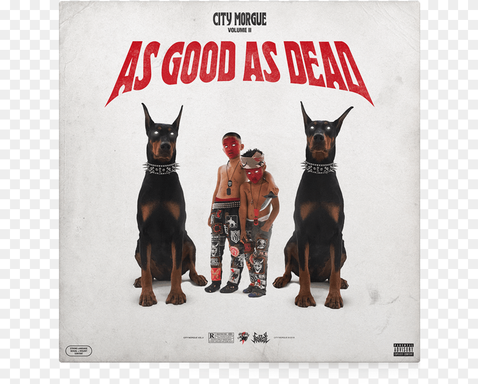 City Morgue Vol 2 As Good As Dead, Animal, Boy, Canine, Dog Png