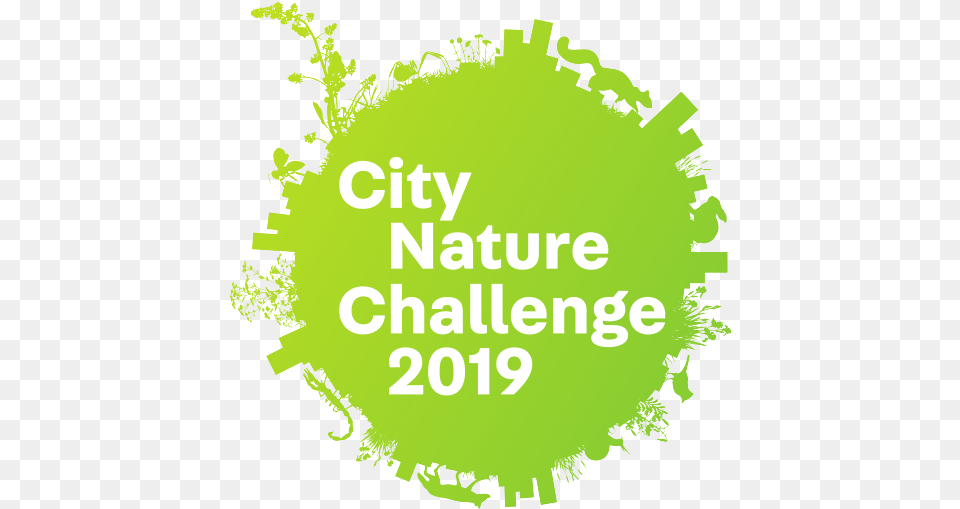 City Nature Challenge 2019, Ball, Green, Sport, Tennis Png Image