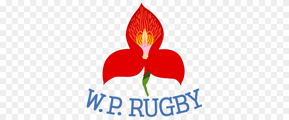 City Park To Host Dhl Wp And Dhl Wp, Flower, Petal, Plant, Orchid Free Png