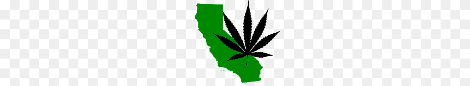 City Visions What You Need To Know About Legalizing Marijuana Kalw, Leaf, Plant, Weed, Animal Free Png Download