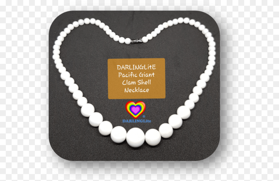 Clam, Accessories, Necklace, Jewelry, Bead Necklace Free Transparent Png