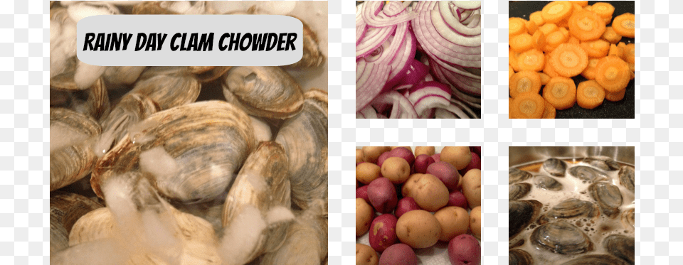 Clam Chowder Shallot, Animal, Food, Invertebrate, Sea Life Png Image