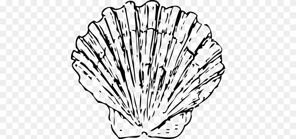 Clam Grilled Seafood Cooking Free Photo From Shells Clipart Black And White, Gray Png Image