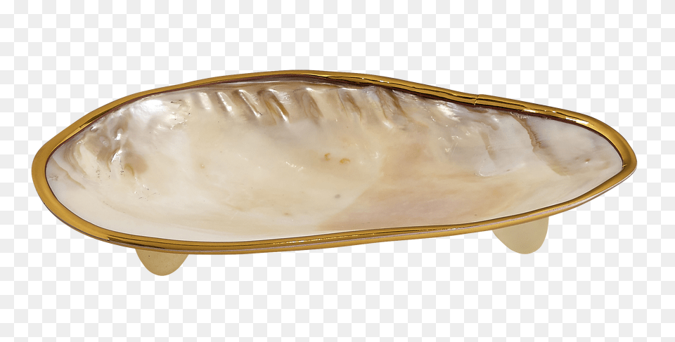 Clam Plate Brass Edged Novelties And Collectables, Animal, Seashell, Seafood, Food Free Png
