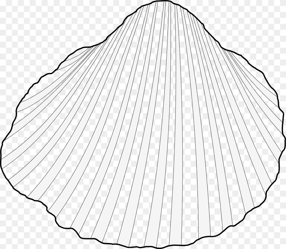 Clam Shell Clipart Download Clipart Cockle, Animal, Food, Invertebrate, Sea Life Free Transparent Png
