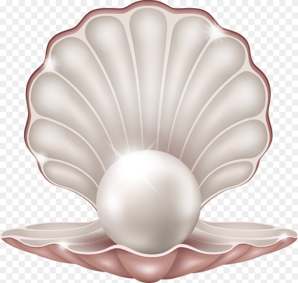 Clam With Pearl Images Transparent Pearl Clipart Png Image