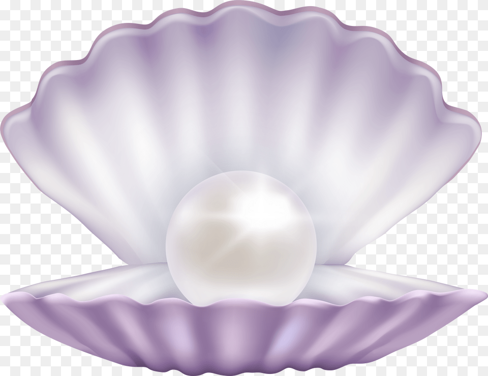 Clam With Pearl Pearls Transparent Background Png