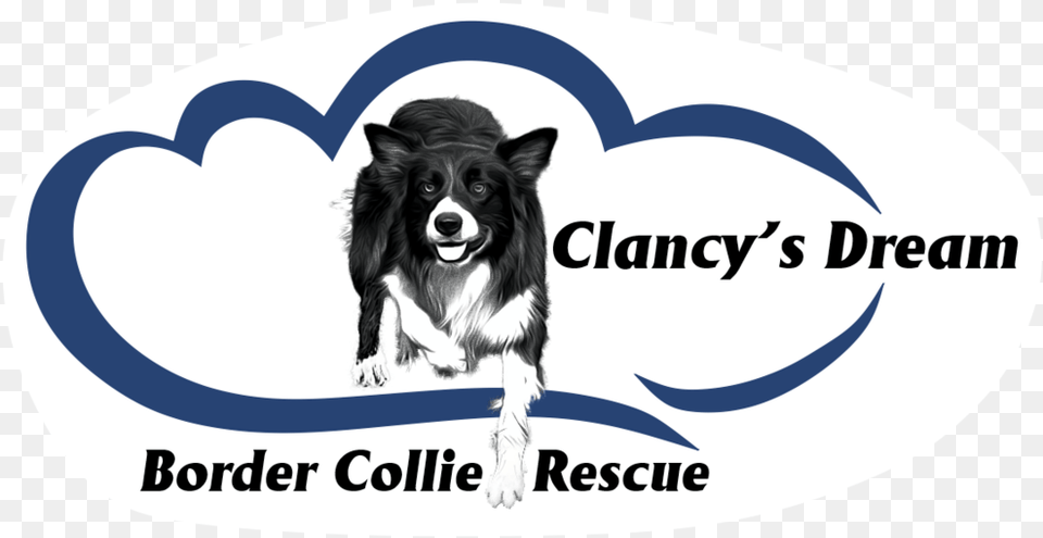 Clancys Dream Livestock, Animal, Canine, Dog, Mammal Free Transparent Png