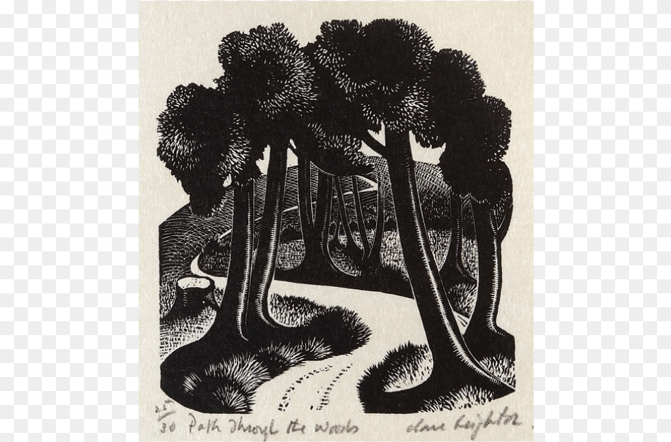 Clare Leighton Path Through The Woods Wood Engraving Illustration, Art, Painting, Plant, Tree Free Png