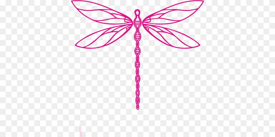 Clarity Call Anyaa Lightheart, Animal, Dragonfly, Insect, Invertebrate Png Image