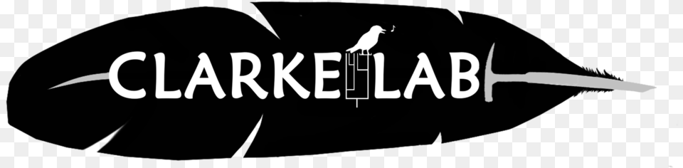 Clarkelab Logo Final Boat, Animal, Bird, Photography, Text Free Png Download