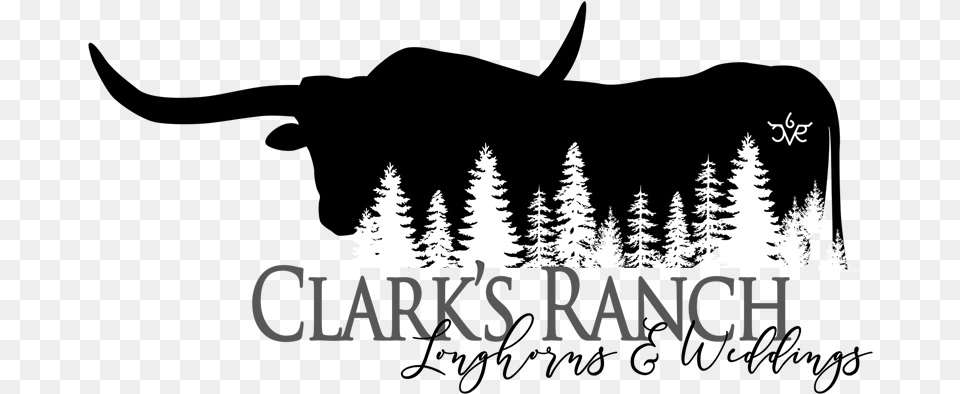 Clarks Ranch Logo Logo, Pine, Fir, Tree, Plant Free Transparent Png