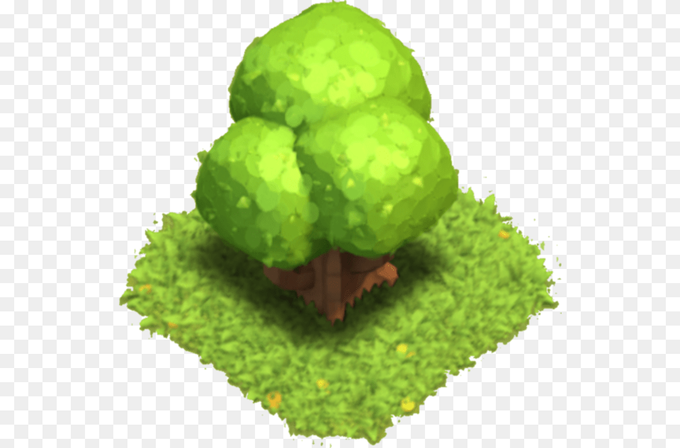 Clash Of Clans Big Tree, Green, Moss, Plant, Ball Free Transparent Png