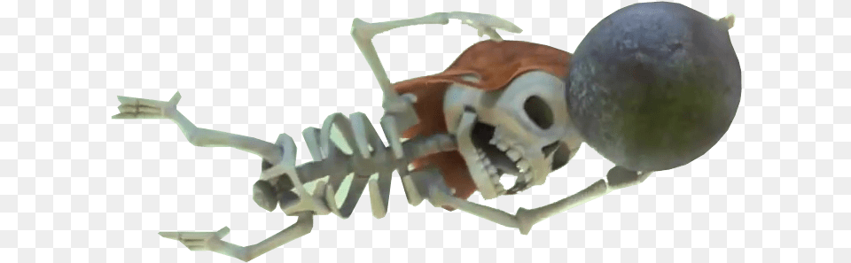 Clash Of Clans Skeleton With Bomb Esqueletos Clash Royale, Animal, Fish, Sea Life, Shark Png Image