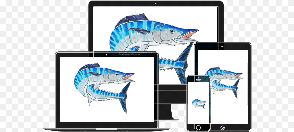 Class Img Responsive Animated Zoominup Animation Delay Sailfish, Animal, Fish, Sea Life, Shark Png