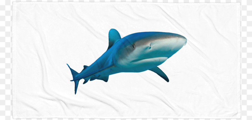 Class Lazyload Lazyload Mirage Cloudzoom Featured Image Great White Shark, Animal, Fish, Sea Life Free Png